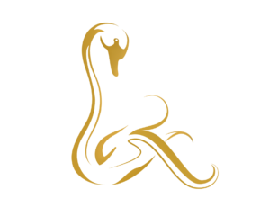 png icon logo transparent